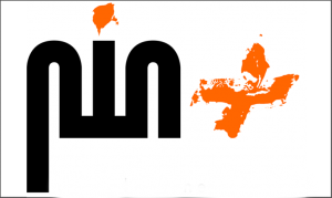 Pin Software